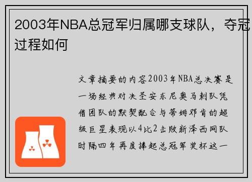 2003年NBA总冠军归属哪支球队，夺冠过程如何